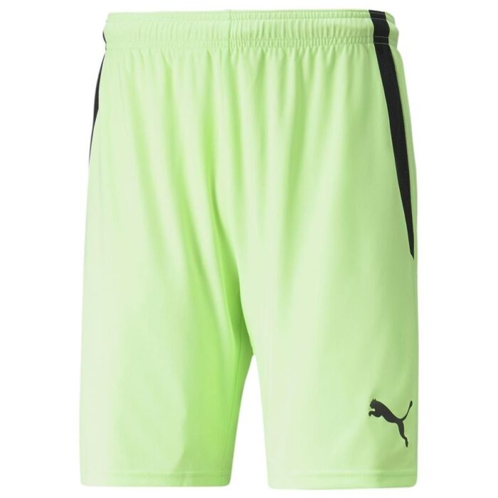 PUMA Shorts teamLIGA - Green/Black