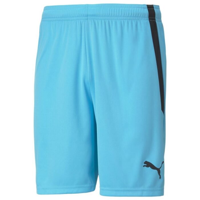 PUMA Shorts teamLIGA - Light Blue
