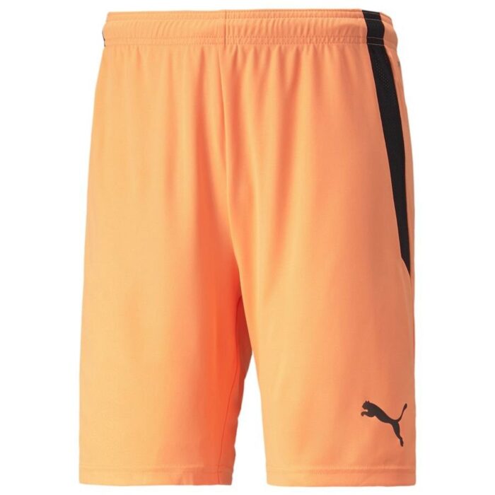 PUMA Shorts teamLIGA - Orange/Black