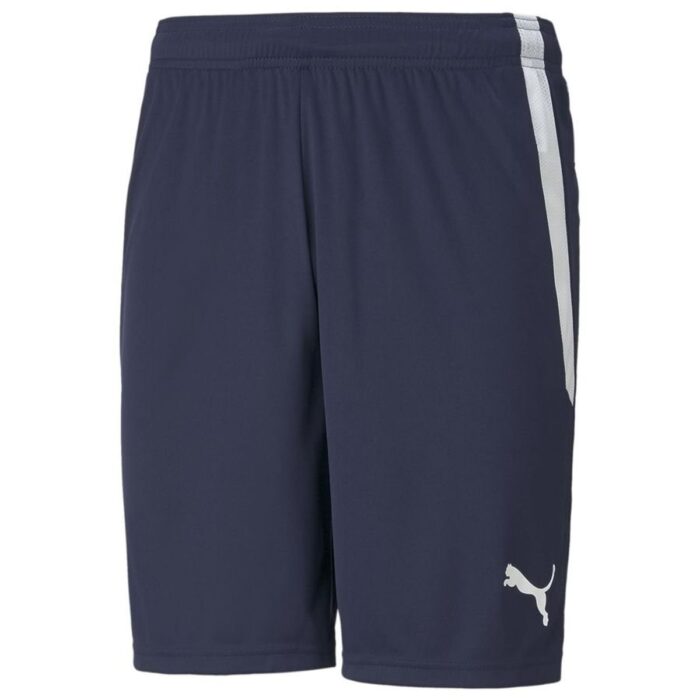 PUMA Shorts teamLIGA - Navy
