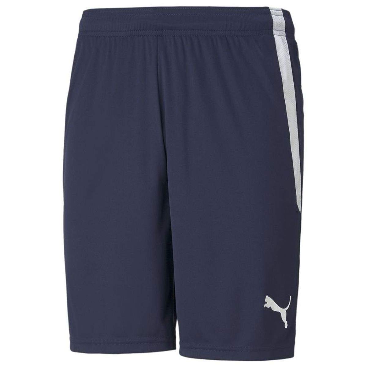 PUMA Shorts teamLIGA - Navy 1 PUMA Shorts teamLIGA - Navy