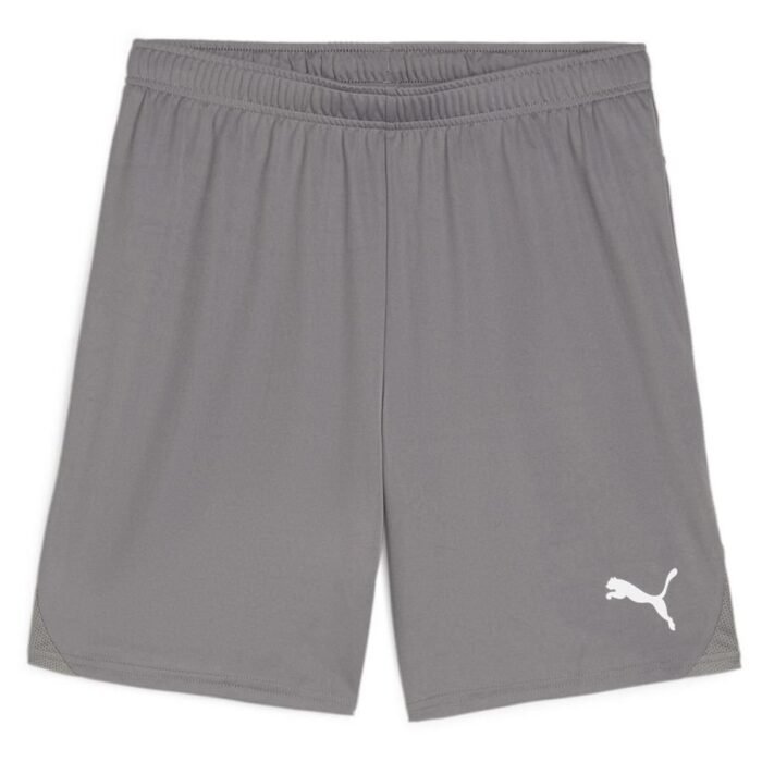 PUMA Football Shorts teamGOAL - Grey/White