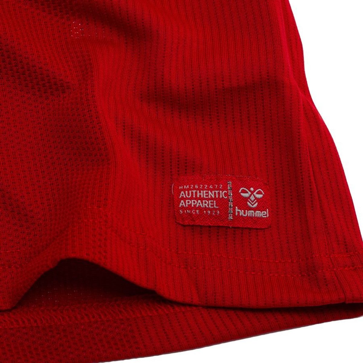 Denmark Home Shirt 2026/27 Pro Player Edition 4 Denmark Home Shirt 2026/27 Pro Player Edition - Image 4