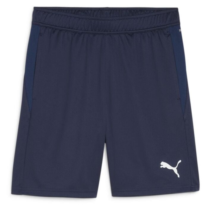 PUMA Training Shorts teamGOAL - Navy/White
