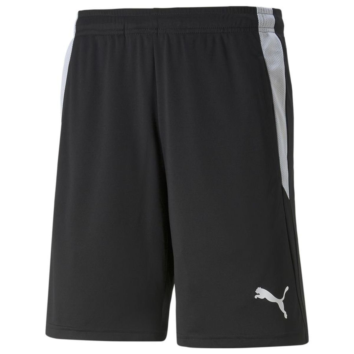 PUMA Shorts teamLIGA - Black 1 PUMA Shorts teamLIGA - Black