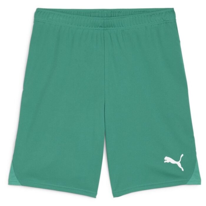 PUMA Football Shorts teamGOAL - Green/PUMA White