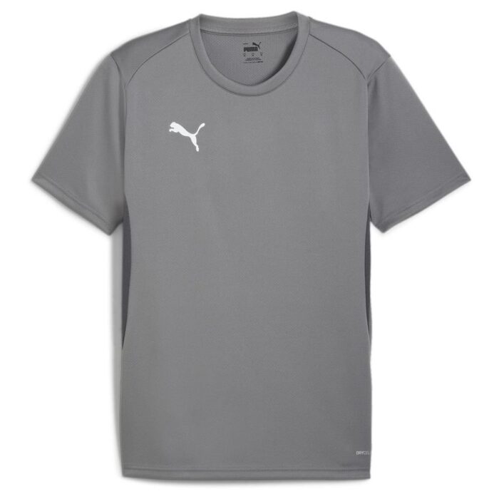 PUMA Training T-Shirt teamGOAL - Shadow Gray/White