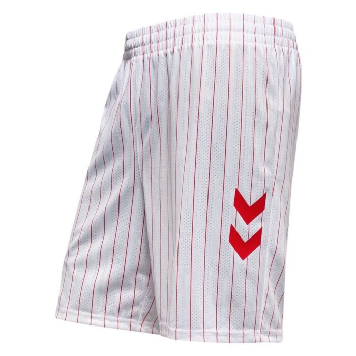 Denmark Away Shorts 2026/27 Pro