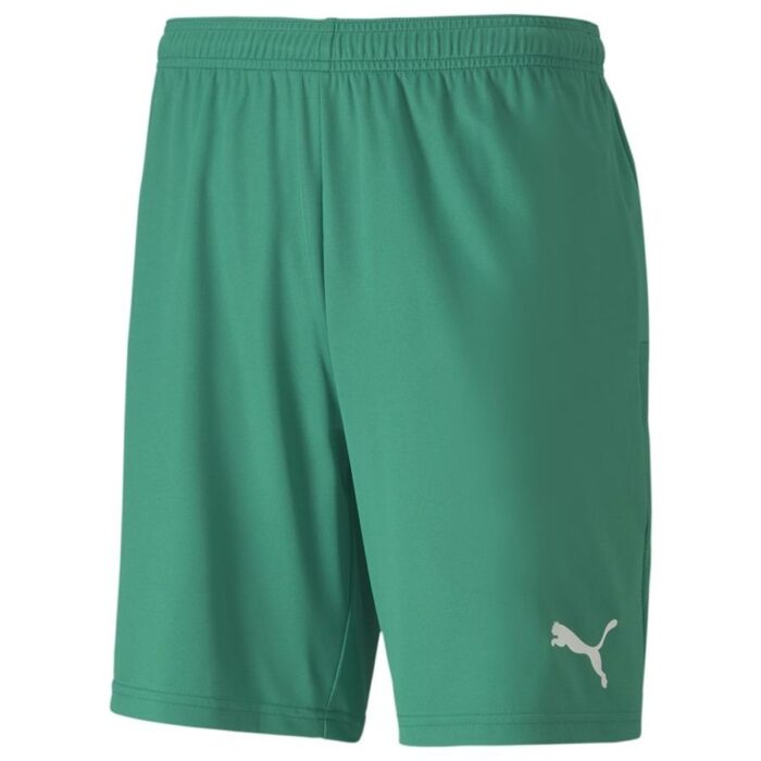 PUMA Football Shorts teamGOAL 23 - Pepper Green