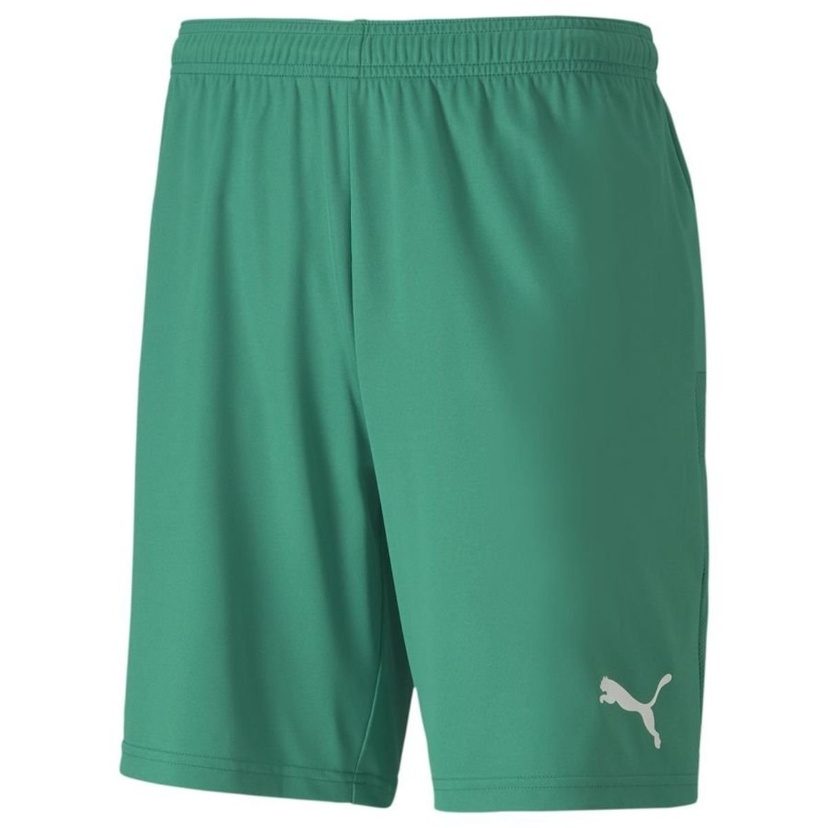 PUMA Football Shorts teamGOAL 23 - Pepper Green 1 PUMA Football Shorts teamGOAL 23 - Pepper Green