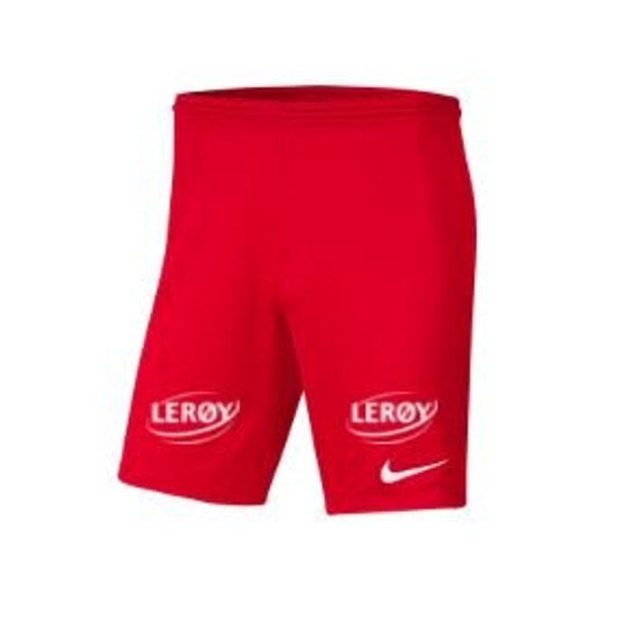 Brann Ung - Nike Shorts Dry Park III