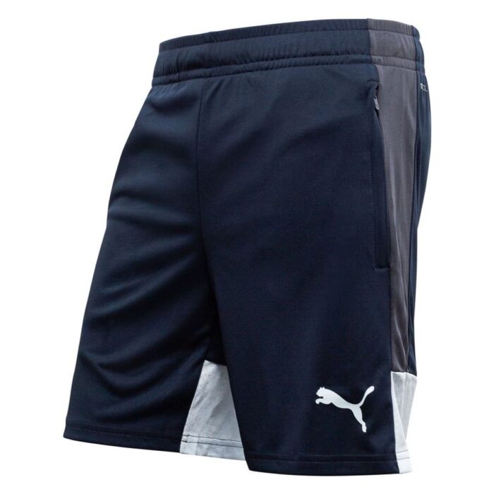 PUMA Training Shorts individualLIGA - Strong Gray/Icy Blue