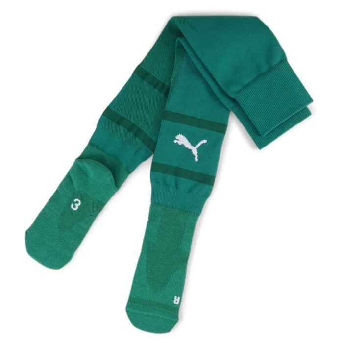 PUMA Football Socks teamFINAL - Green/White