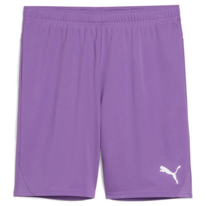 PUMA Football Shorts teamGOAL - Ultraviolet/White
