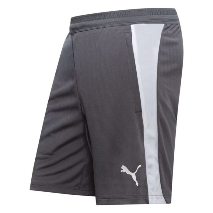 PUMA Training Shorts teamFINAL 26 - Medium Grey Heather/PUMA White